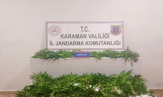 Karaman’da jandarmadan geniş kapsamlı operasyon: 140 aranan şahıs yakalandı