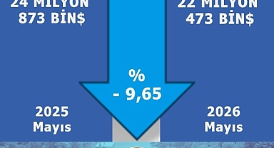 Karaman İhracatında Mayıs Ayı Verileri Açıklandı: Yılın İlk Beş Ayında Yüzde 11,77 Gerileme