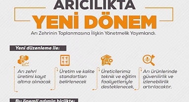 Arı Zehri Üretiminde Yeni Dönem: Yönetmelik Resmi Gazete'de Yayımlandı