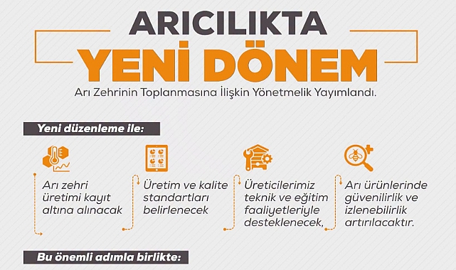 Arı Zehri Üretiminde Yeni Dönem: Yönetmelik Resmi Gazete'de Yayımlandı
