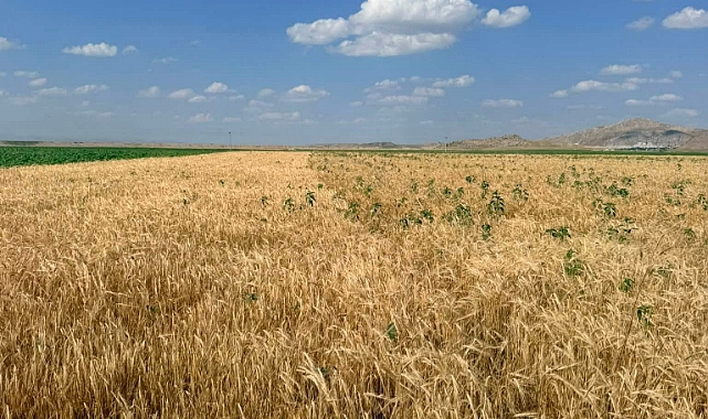 Çiftçilerin mağduriyeti için hukuki süreç başlatıldı