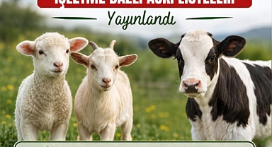 Karaman'da 2025 Yılı 2. Dönem Hayvancılık Destekleme Askı Listeleri Yayımlandı
