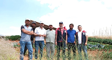 Karaman’da Hububat Hasadı Sürüyor: Üreticilere Kayıpsız Hasat Uyarısı