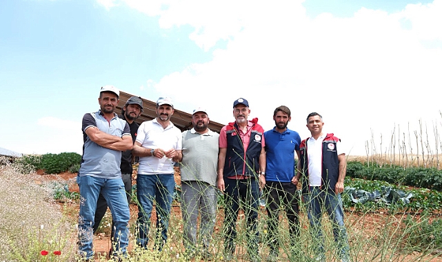 Karaman’da Hububat Hasadı Sürüyor: Üreticilere Kayıpsız Hasat Uyarısı