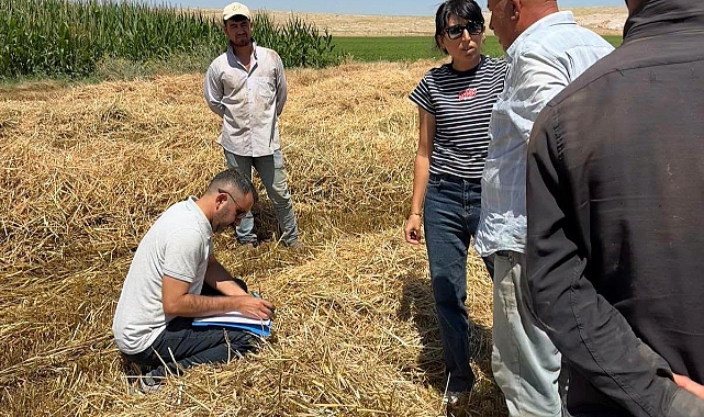 Karaman’da Tarımsal Denetimler ve Hayvan Sağlığı Çalışmaları Sürüyor