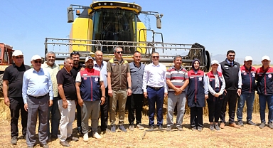 Karaman’da yerli ekmeklik buğday çeşitleri tarla denemesinde görücüye çıktı