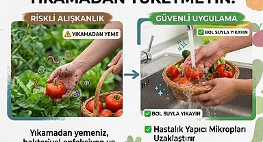 Uzmanlardan önemli uyarı: Dalından koparılan meyveler yıkanmadan tüketilmemeli