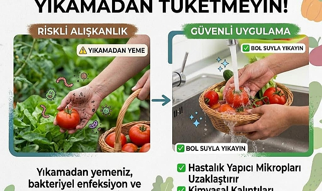 Uzmanlardan önemli uyarı: Dalından koparılan meyveler yıkanmadan tüketilmemeli