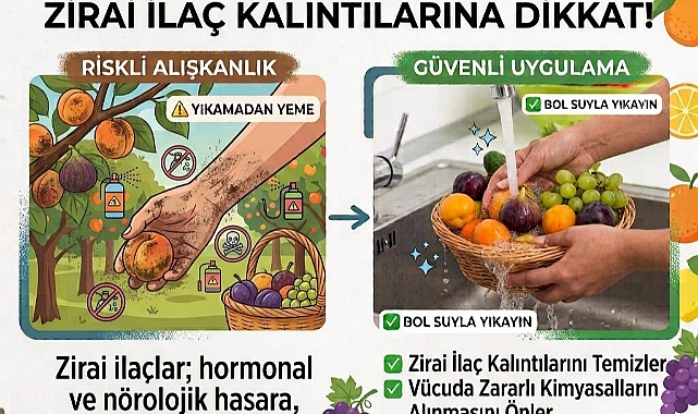 Uzmanlardan önemli uyarı: Dalından koparılan meyveler yıkanmadan tüketilmemeli